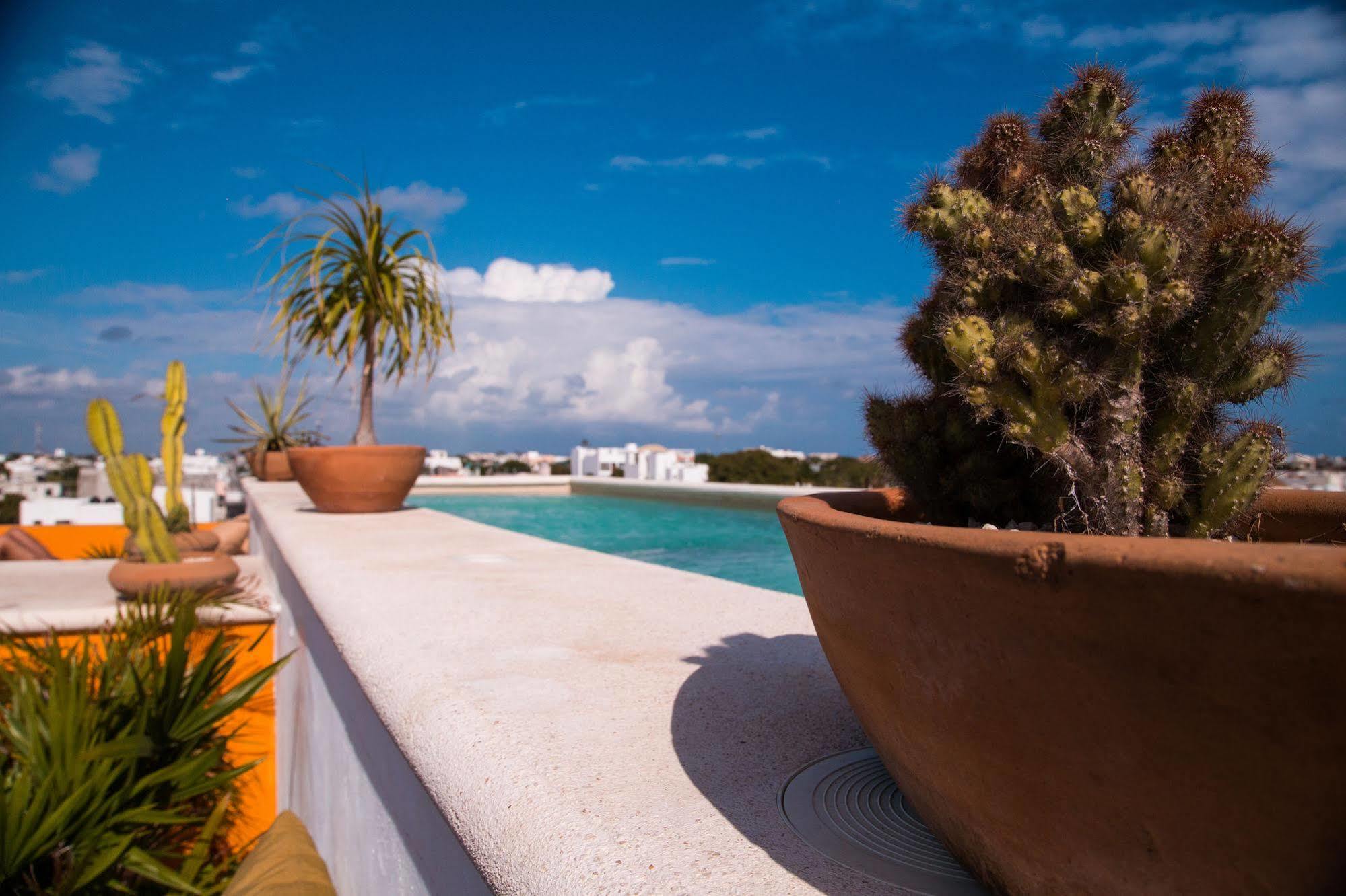La Galeria by Bunik Hotel Playa del Carmen Bagian luar foto