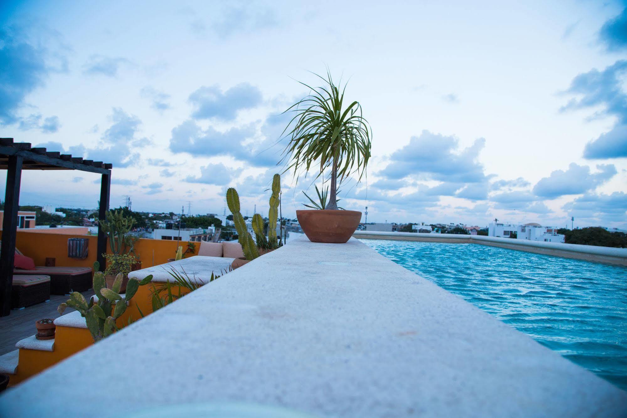 La Galeria by Bunik Hotel Playa del Carmen Bagian luar foto