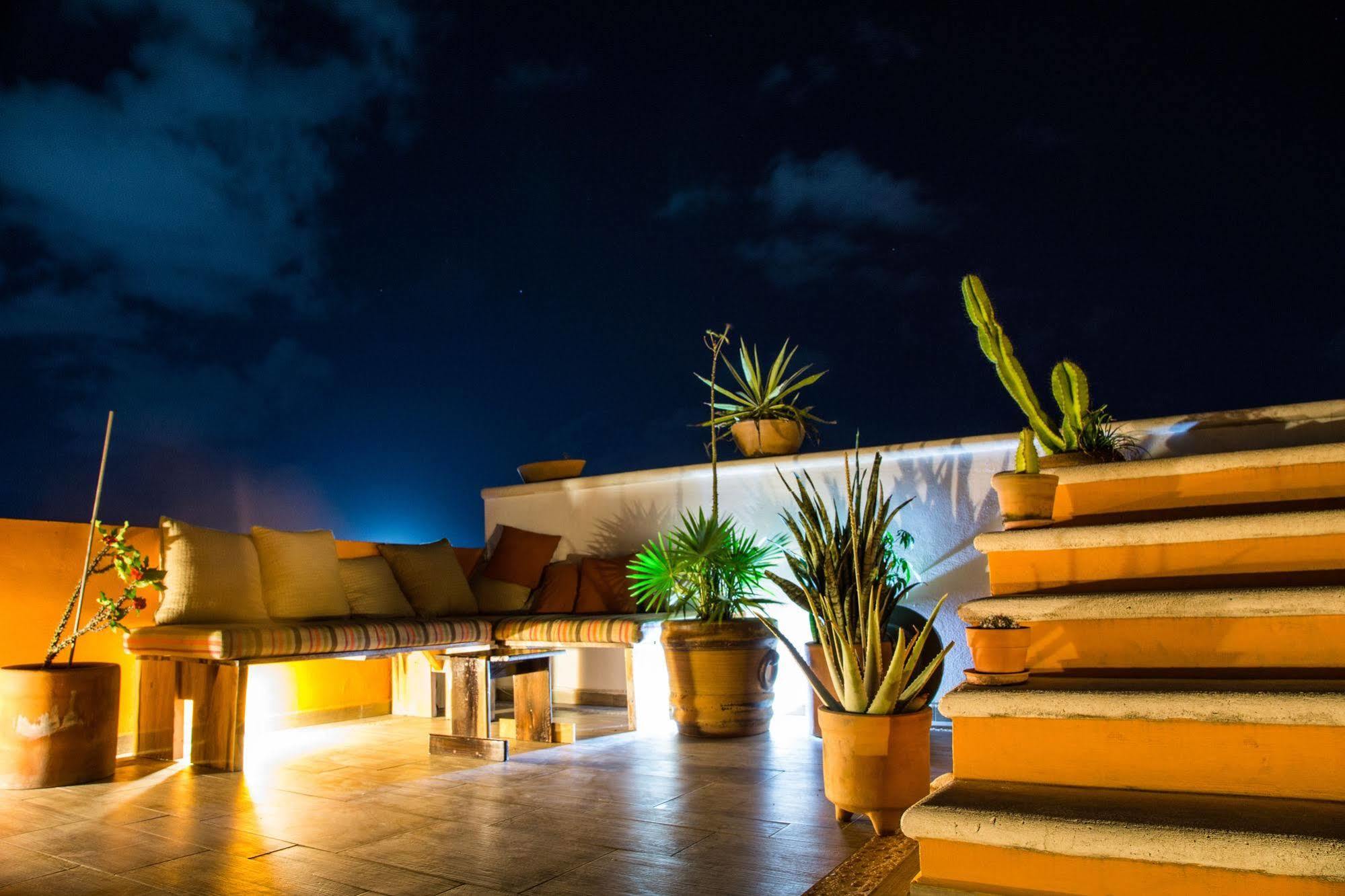 La Galeria by Bunik Hotel Playa del Carmen Bagian luar foto