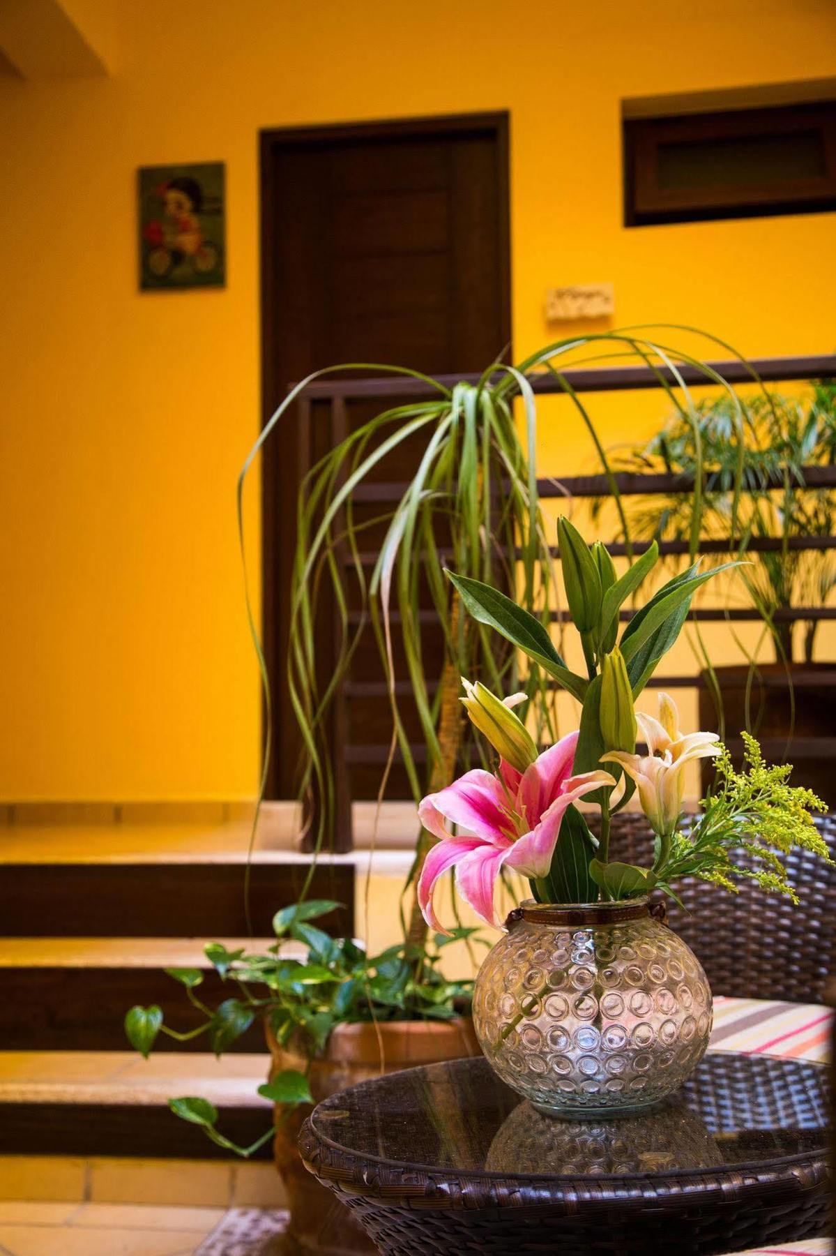 La Galeria by Bunik Hotel Playa del Carmen Bagian luar foto
